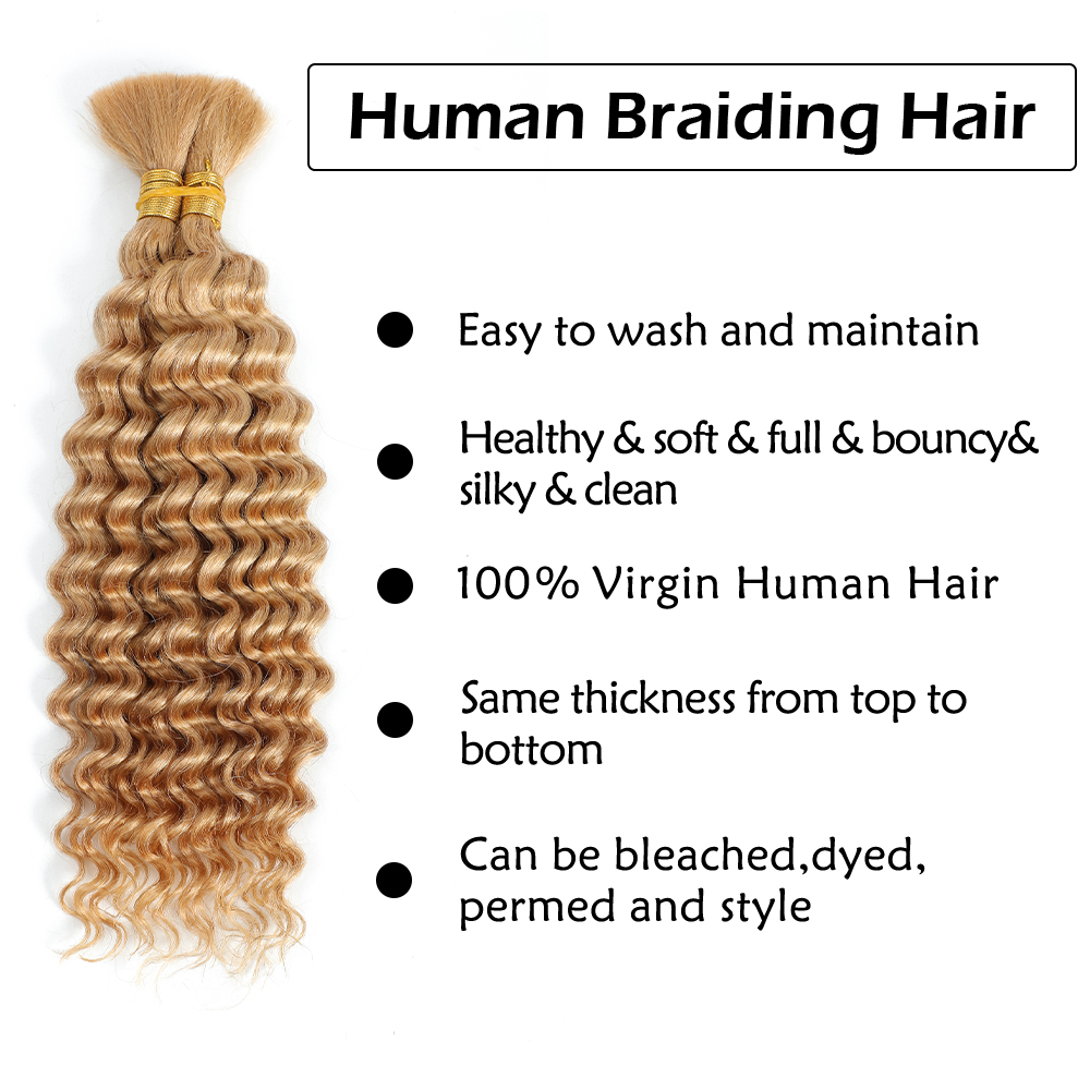Human Braiding Hair 2Bundle 10 - đánh giá và giá Hair Care Barber